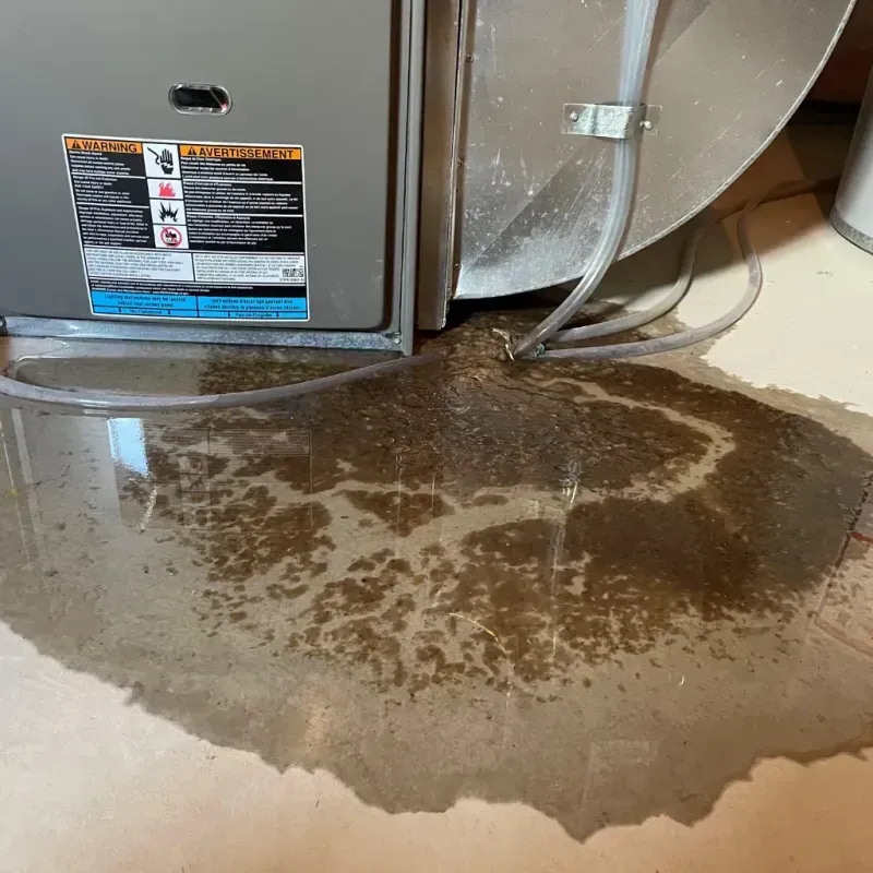 Appliance Leak Cleanup in Point Clear, AL